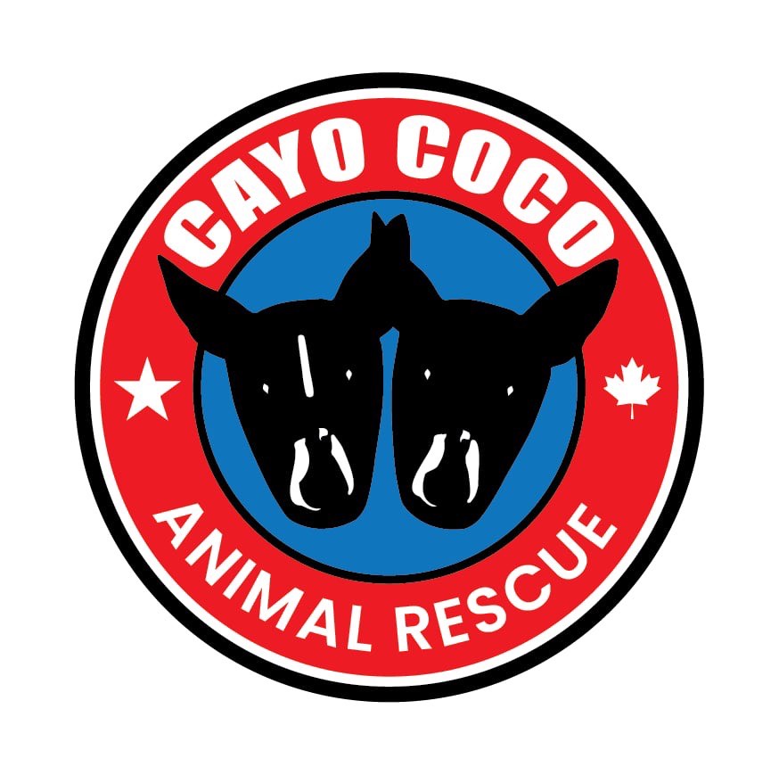 Cayo Coco Animal Rescue